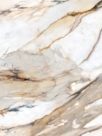 Calacatta Antique 356x475