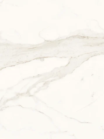 Calacatta Super White 356x475